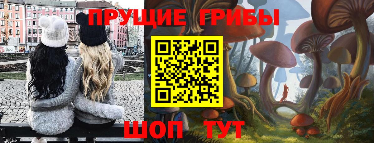 Галлюциногенные грибы мухоморы Бутурлиновка