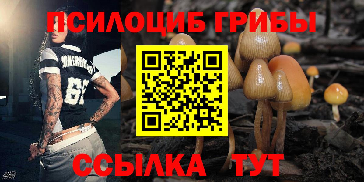 Бутурлиновка  Псилоцибиновые грибы Magic Shrooms  Вход с VPN 